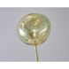 Canada 57 inch 60.00 watt Gold Floor Lamp Portable Light